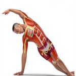 Pilates Anatomy Kindle by Human Kinetics-0